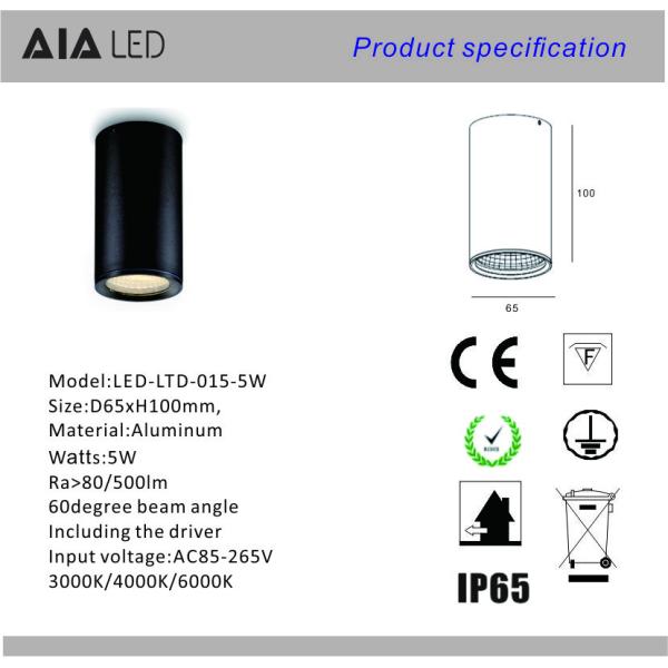IP65 waterproof surface mounted 5W COB LED downlight&LED outdoor down light for apartment