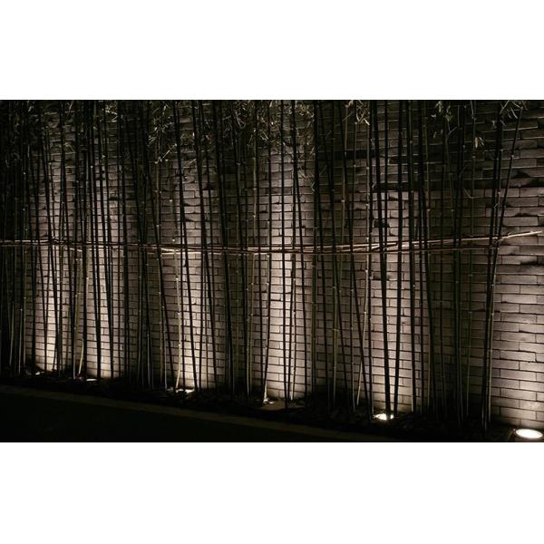 24v LED Outdoor Decorative Strip Lights / Christmas Led Fairy Lights / RGB Rope Light