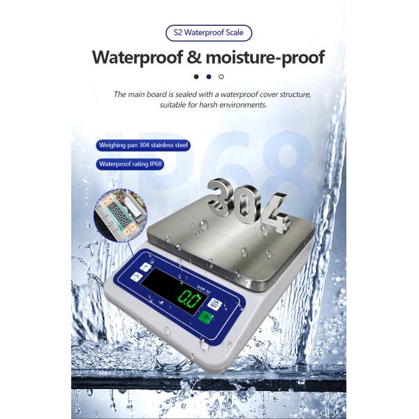 Product Idea 2024 304 Stainless Steel Balance Scale 6KG Maximum Range Unit lb oz g