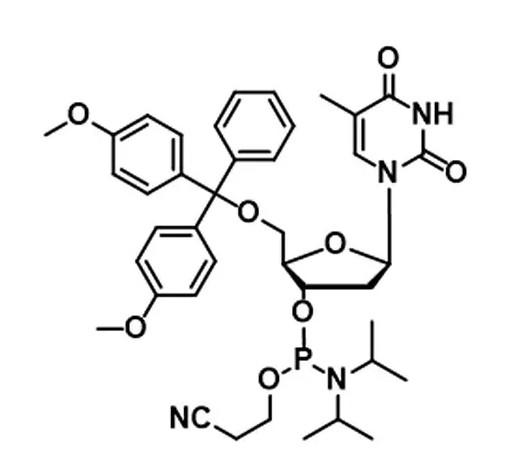 RNA DNA Synthesis Phosphoramidite 5g/bottle A G C T Phosphoramidites
