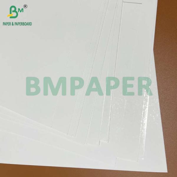 275GSM 400GSM Single Side White Coating Blister Packaging Paper Boards