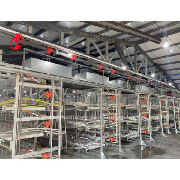 Poultry Farm Automatic Baby Broiler Battery Cage System Rose