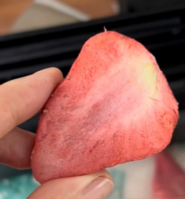 Промышленность пищевых напитков Вакуумные морозильные сушильные машины для фруктов овощей морепродукты