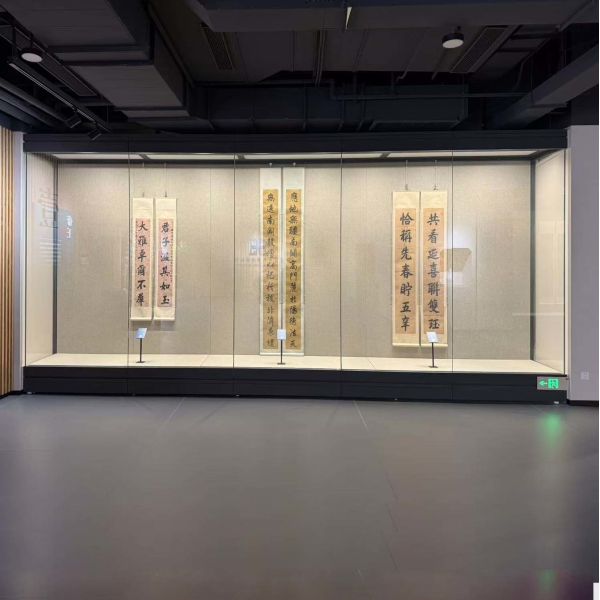 Expansive Large Wall Cabinet with Motorized Glass Climate Control External Or Flush
