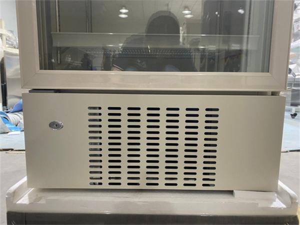 316L 2-8 Degree Upright High Quality Medical Grade Refrigerator Pharmaceutical Fridge Cabinet
