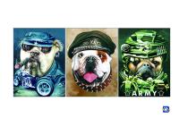 Cartazes Lenticular da cópia animal do ANIMAL DE ESTIMAÇÃO/PP para o GV da decoração da casa