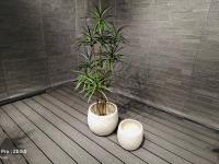 Planta de argila de fibra resistente ao gelo e ao fogo com superfície lisa