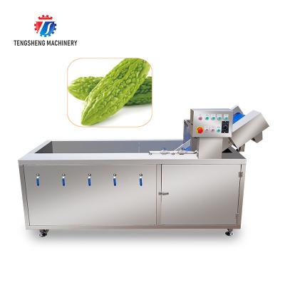Citrino Apple da máquina de lavar das frutas e legumes do filtro da impureza 2.6KW