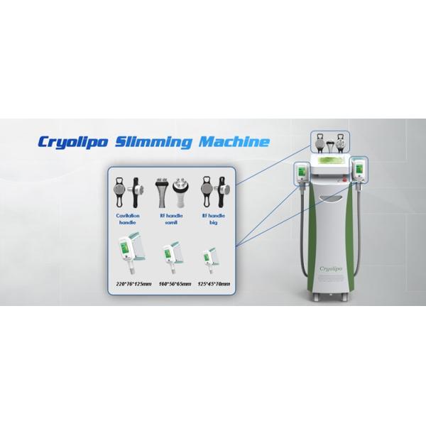 perfect cooling 5 handles cryolipolysis machine for sale/cryolipolysis shaping machine