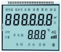 OEM 6 O′ Clock TN Segment affichage LCD affichage du compteur d'eau à transmission positive