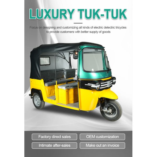 Customized Li Ion Battery Operated Electric Rickshaw Tuk Tuk 800kg