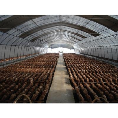 Film Type Agricultural Equipment 10m Tunnel Width Insect Net Greenhouse