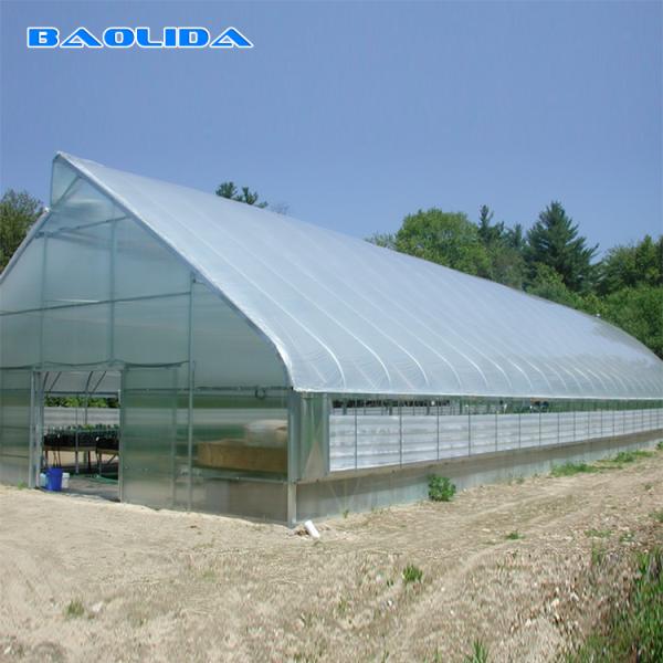 Serre chaude en plastique de tunnel de ventilation de toit avec le système de refroidissement