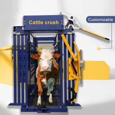 Hot DIP Galvanized Scale Cattle Handling Equipment Cattle Resists Corrosion