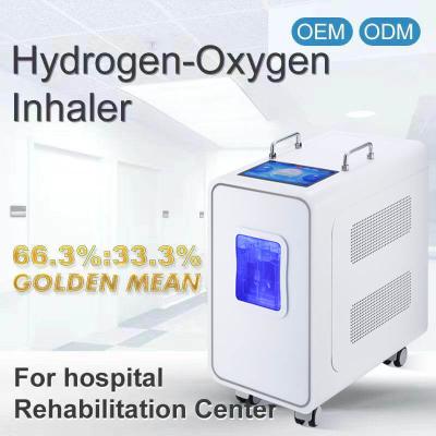 110v 220v Home PEM Hydrogen Inhalation Therapy Machine 3000ml