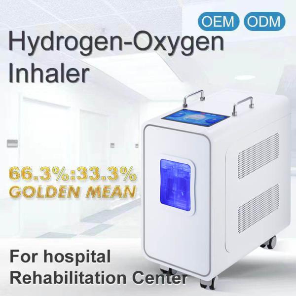 110v 220v Appareil de thérapie par inhalation d' hydrogène à domicile PEM 3000ml