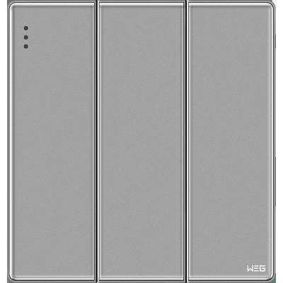 Soquete de parede elétrico de aço do cinza W83Q/2Y da placa