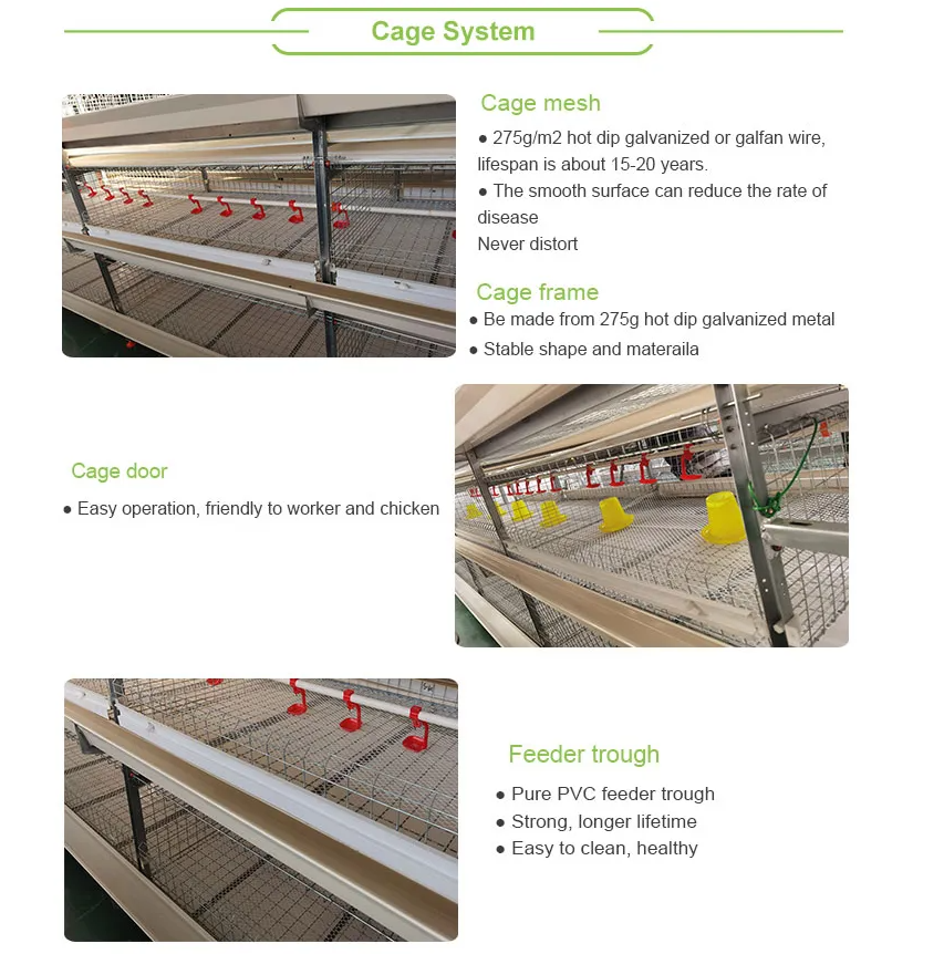 Fully Automatic 4-Tier H-Type Battery Cage with Hot-Dip Galvanized Steel for Layer Hens and Broilers