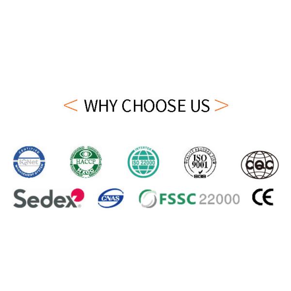 Создатель конуса мороженого нержавеющей стали автоматический многофункциональный подвергает 55 печь шаблонов механической обработке