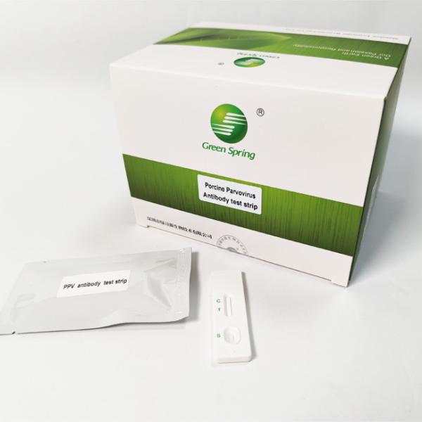 PPV Porcine Parvovirus Swine Influenza Test Kit Antibody Rapid 50 Tests/Kit GMP