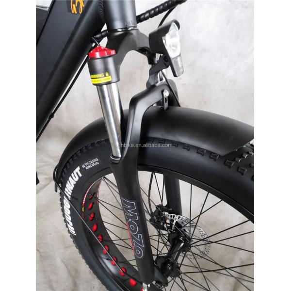 Adult Fat Tyre Cycle E Ebike Electric Bike 48V 1000W 21A Central Mid Drive Motor 26 Inch