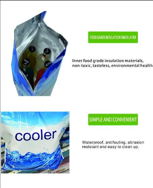 Customized Logo Portable Lunch Cooler Bag Pizza Delivery Cooler Thermal Bag Plastic Cooler Bag With Die Cut Handle