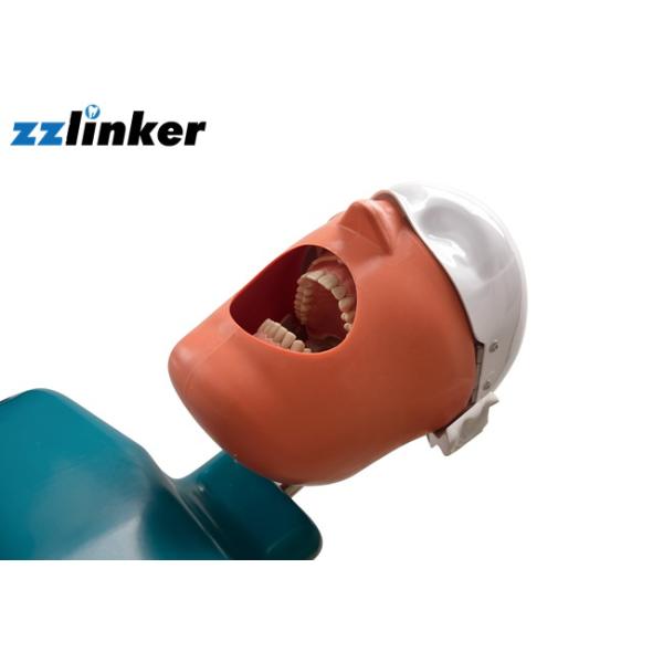 Завершите устное зубоврачебной практики блока симуляции электрической клинической фантомное главное