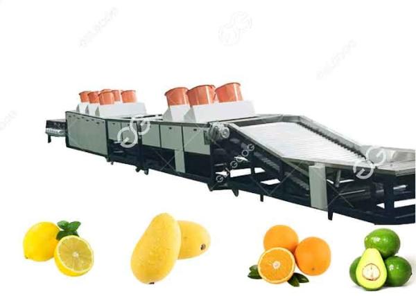 1t/H-5t/H Fruit Washing Equipment Fruit Washing Line For Fruit Export Sales