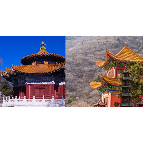 Дракон Китайские остекленные плитки Орнаменты для храма Садовый дом