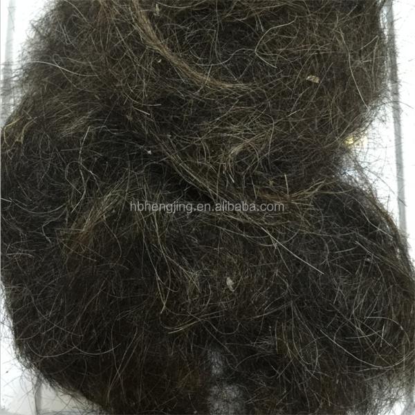Washed Good Quality Clean Horse Tail Mane Hair Waste for Mattress