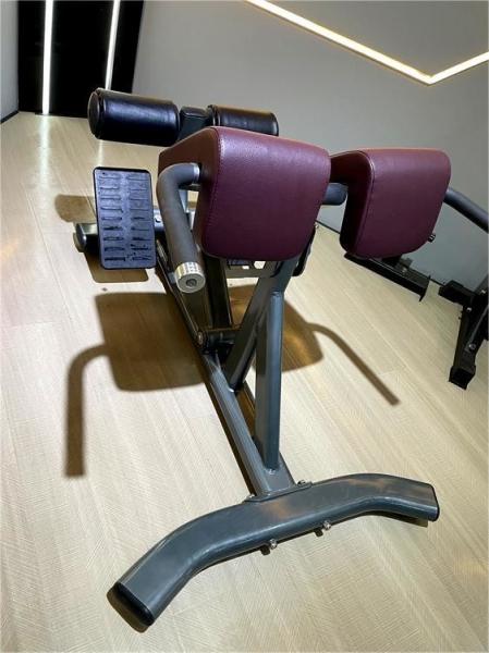 Freeman Commercial Gym Fitness Equipment Back Extension(hyper Extension Bench)/roman Chair