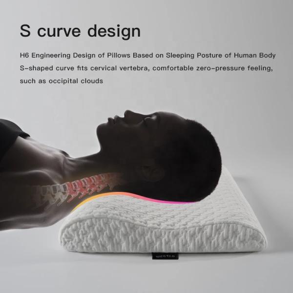 Packaging Options Carry Bag/Color Bag/Drawstring Bag/Carton Memory Foam Orthopedic Pillow