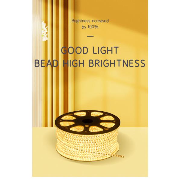 220V Living Room LED Strip Lamp Decorative Ceiling 3 Color Dimming 120 beads