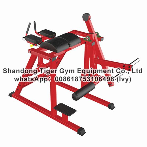 Strength Fitness Equipment / plate loaded gym fitness equipment / Reverse Hyper Extention
