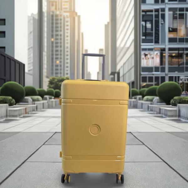 Travel Luggage with Anti-Shock Design