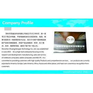 Shenzhen Shuangshengda Technology Co., Ltd.