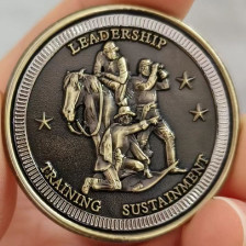 Custom Soft Enamel Challenge Coins with Antique Bronze Plating and Double Sided Design