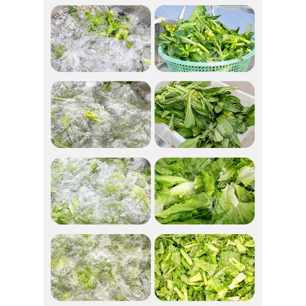 Fruit Orange Leaves Vegetables sward beans  Herbs Fruiting vegetables Wash Washer Washing Cleaning processing production Double cylinder fruit and vegetable washing machine