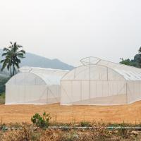 Estufa do período guarda-chuva automático superior do túnel do respiradouro do multi única para a plantação do tomate