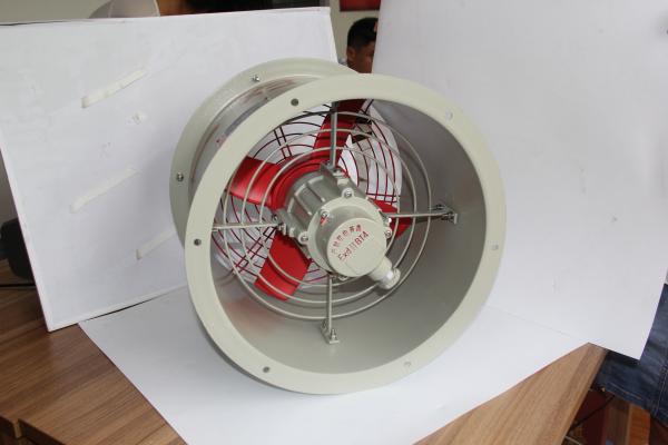 Explosion-Proof Oscillating Fan | ATEX Certified | Wide-Angle Airflow for Hazardous Industrial Cooling
