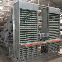 Système de collecte d'œufs de volaille galvanisé à chaud 3PH 1 mm Approbation SGS