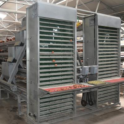 4 Layers 2mm Battery Cage Poultry Egg Collection System ISO9001 Certificated