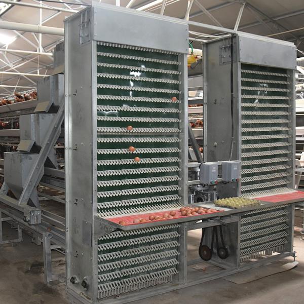 Manufacturers Battery Egg Layer Chicken Farm Poultry Laying Hens Cages