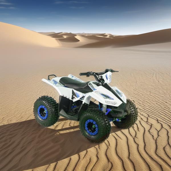 2024 Teenagers 4x4 1000W 48V 1200W Electric Shaft Driven Quad Bike Electric Quad ATV
