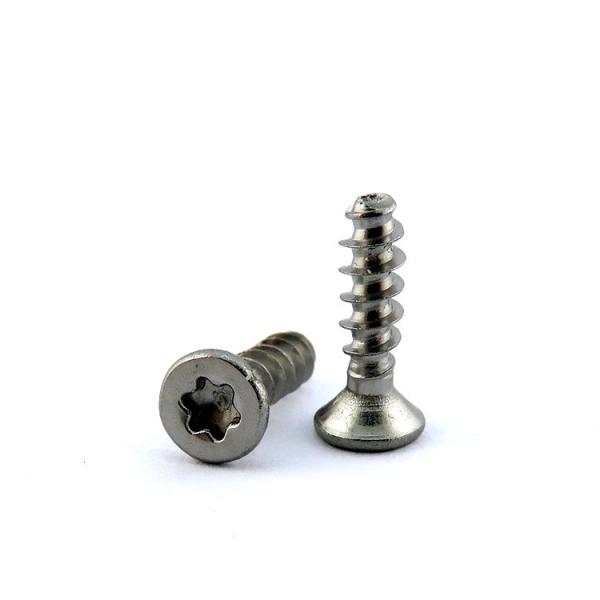 Pan Head Custom WN1423 T8 Torx Countersunk Flat Head Thread Forming PT Screw