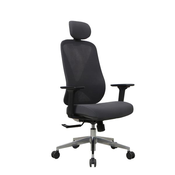 PU Pad High Back Black Breathable Ergo Infinity Mesh Chairs With Headrest And Lumbar