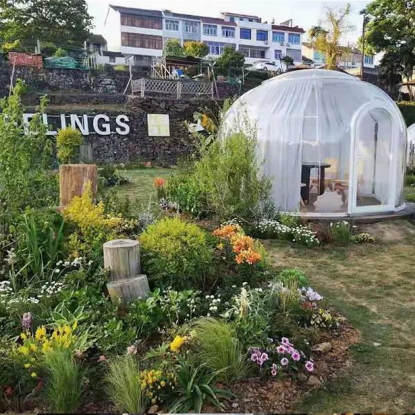 1 - 20mm Starry Sky Room Dining Bubble Tent Sleeping Panoramic Landscape Bubble Outdoor Tent