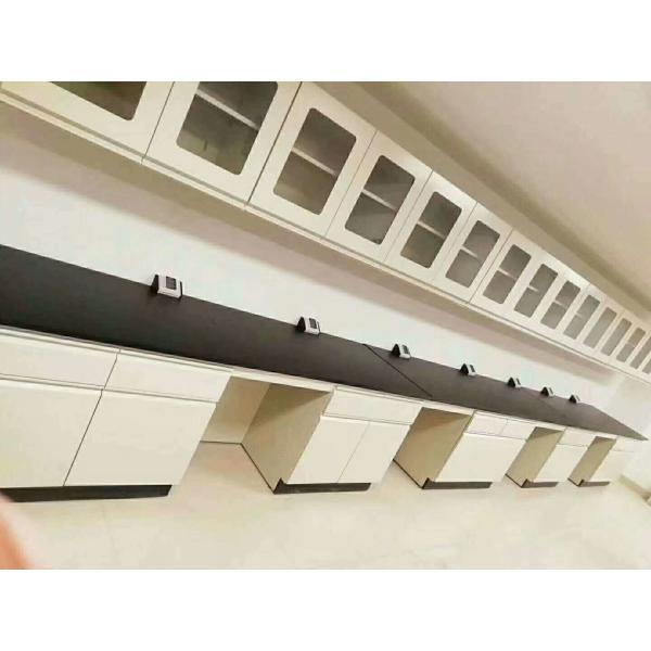 Durable Medical Lab Furniture with Stainless Steel Worktop and Reagent Shelf Drawer