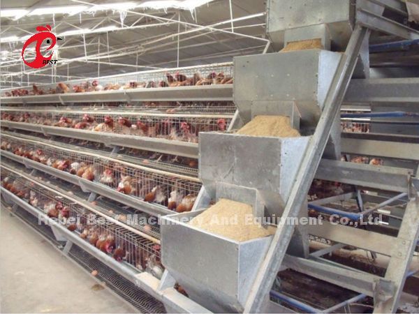 Тип автоматическая кладя система h клетки сельского хозяйства птицы цыпленка в радужке рынка Африки