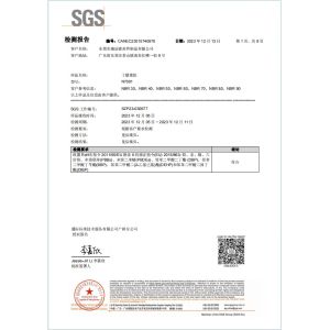 Dongguan Ruichen Sealing Co., Ltd. Сертификации